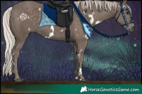 Horse Color:White Spotted Silver Black Rabicano 