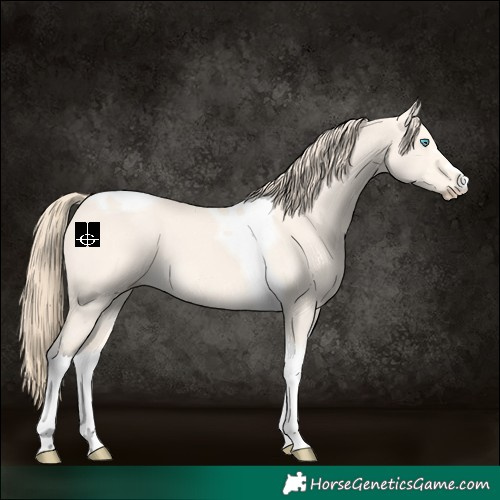 Horse Color:Perlino Dun Tobiano