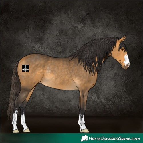 Horse Color:Buckskin Rabicano