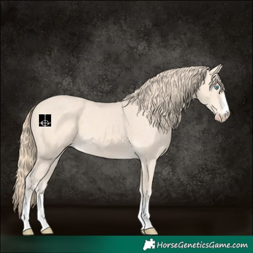 Horse Color:Perlino 