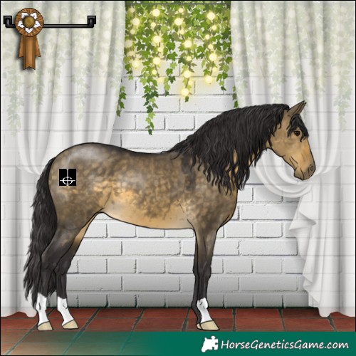 Horse Color:Buckskin Dun 