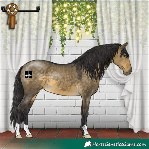 Horse Color:Buckskin Dun 