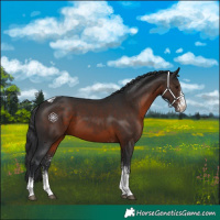Horse Color:White Spotted Brown Tobiano Rabicano