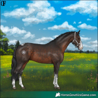 Horse Color:White Spotted Brown Tobiano Rabicano