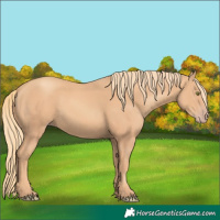 Horse Color:Gold Champagne