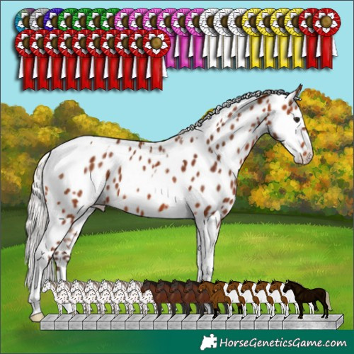 Horse Color:Silver Bay Tobiano Appaloosa 