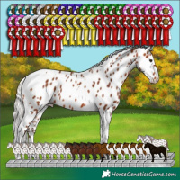 Horse Color:Silver Bay Tobiano Leopard 