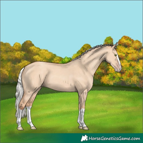 Horse Color:Unknown 