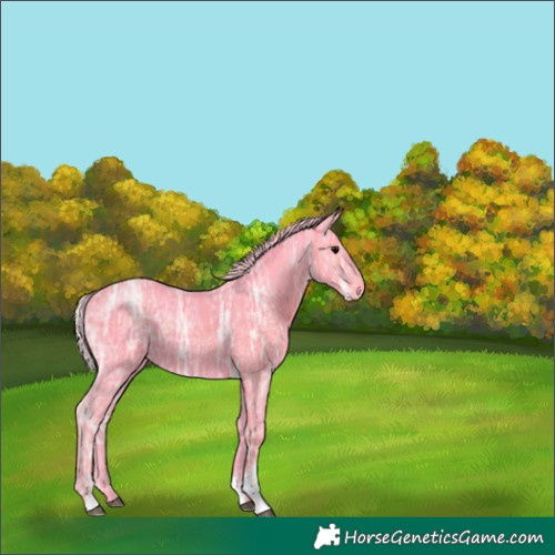 Horse Color:Watercolor Silver Black Ice Sabino Rabicano 