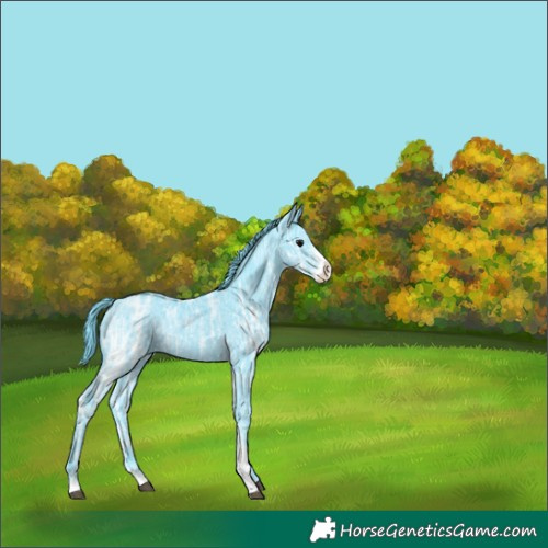 Horse Color:Watercolor Black Ice Sabino Rabicano 