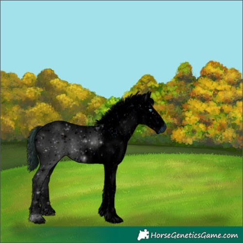 Horse Color:ERROR: UNKNOWN ANOMALY