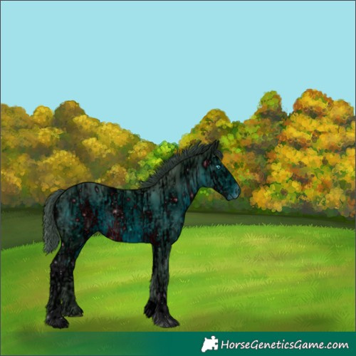 Horse Color:ERROR: UNKNOWN ANOMALY