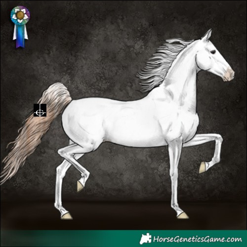 Horse Color:White Spotted Bay Dun Leopard 