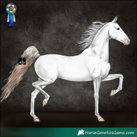Horse Color:White Spotted Bay Dun Appaloosa 