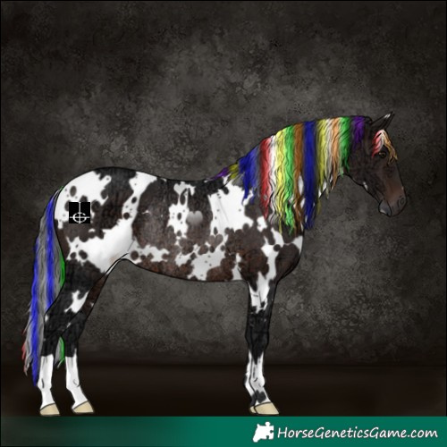 Horse Color:Painted White Spotted Brown Ice Rabicano 