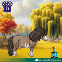 Horse Color:Classic Champagne 