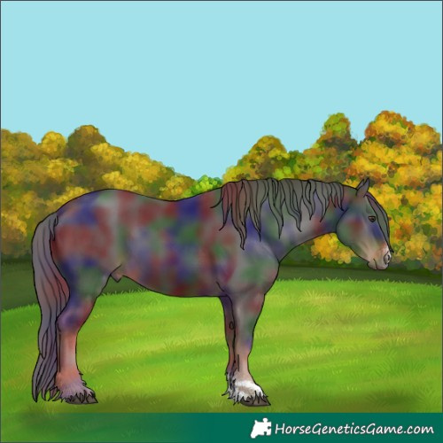 Horse Color:Nacre Liver Chestnut Sabino Tobiano 