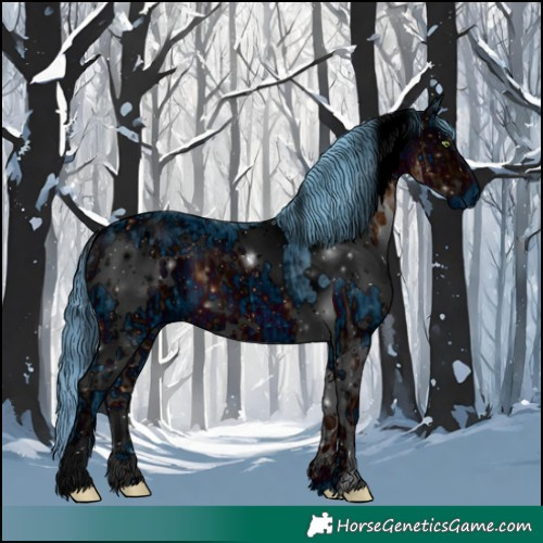 Horse Color:ERROR: UNKNOWN ANOMALY