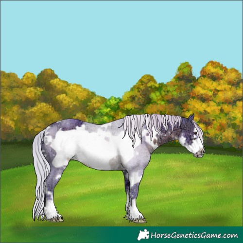 Horse Color:Watercolor White Spotted Silver Brown Ice Sabino Frame 