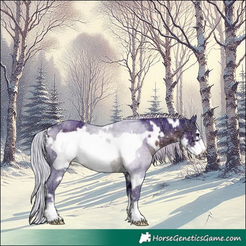 Horse Color:Watercolor White Spotted Silver Brown Ice Sabino Frame 