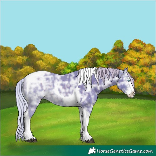Horse Color:Watercolor Silver Brown Ice Sabino Splash Tobiano 
