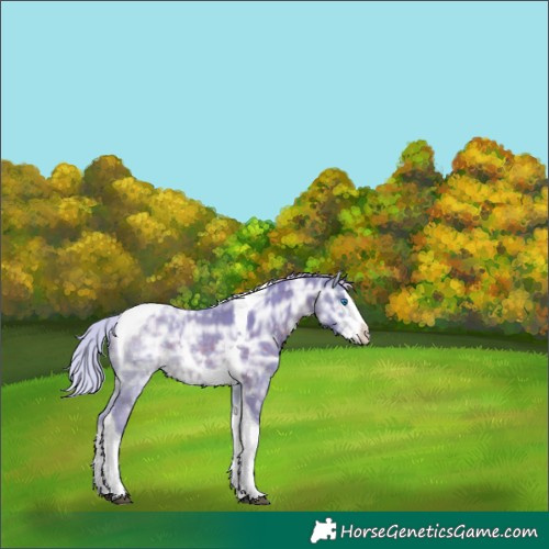Horse Color:Watercolor Silver Brown Ice Sabino Splash Tobiano 