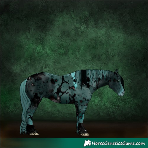 Horse Color:ERROR: UNKNOWN ANOMALY