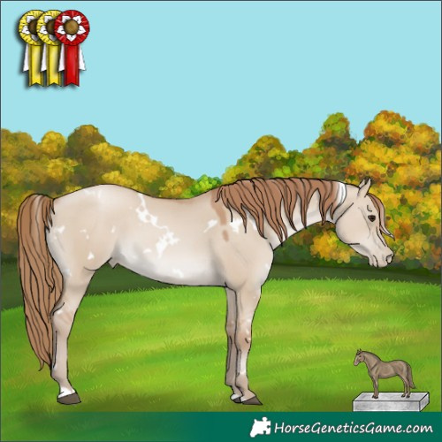 Horse Color:White Spotted Grullo Pearl 
