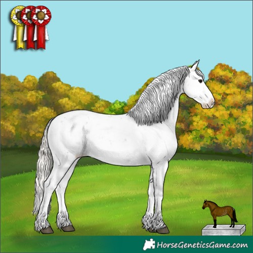 Horse Color:Silver Smoky Grullo Sabino Splash Appaloosa Rabicano 