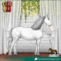 Horse Color:Silver Smoky Grullo Sabino Splash Appaloosa Rabicano