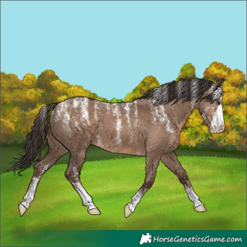 Horse Color:Powder White Liver Red Dun Varnish 