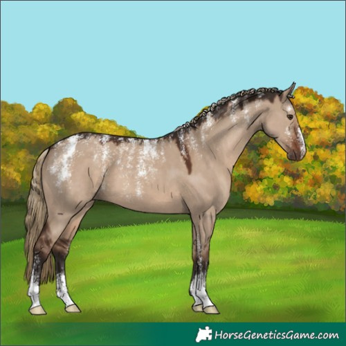 Horse Color:Powder White Liver Red Dun