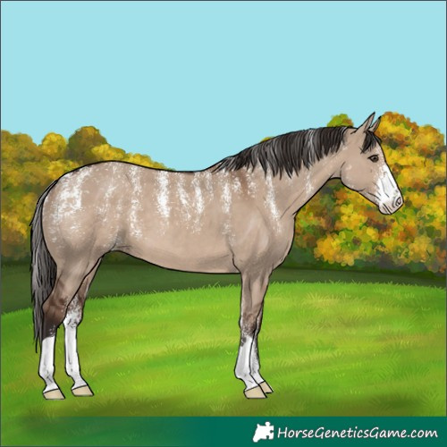 Horse Color:Powder White Liver Red Dun 