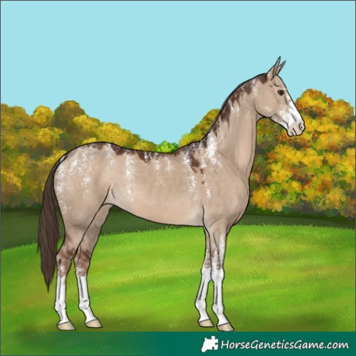 Horse Color:Powder White Liver Red Dun