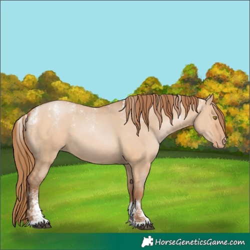 Horse Color:Powder White Bay Pearl Dun 