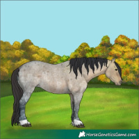 Horse Color:Brown Ice Roan Dun Rabicano 