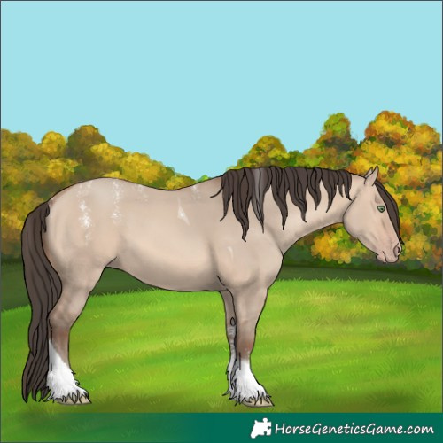 Horse Color:Powder White Amber Champagne Dun Tobiano 