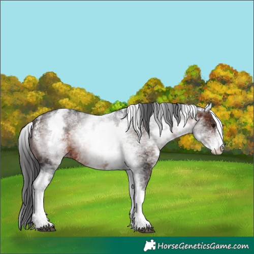 Horse Color:Powder White White Spotted Brown 