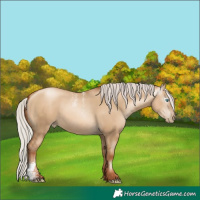 Horse Color:Powder White Gray Silver Sable Champagne Pearl Dun