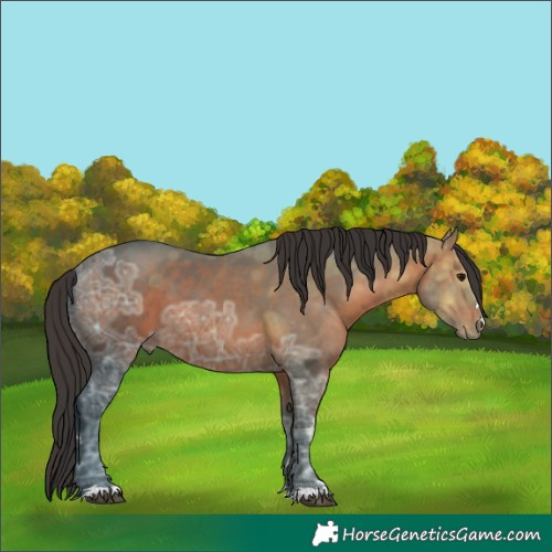 Horse Color:Brown Ice 
