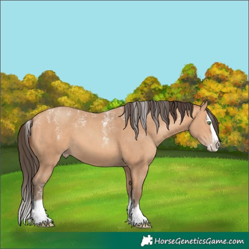 Horse Color:Powder White Amber Champagne Splash 