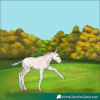Horse Color:Silver Perlino Tobiano