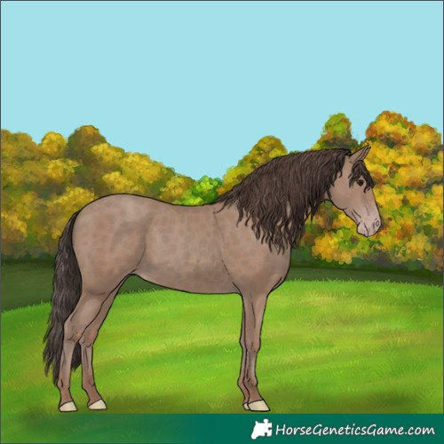 Horse Color:Classic Champagne