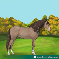 Horse Color:Classic Champagne
