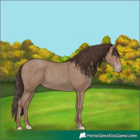 Horse Color:Classic Champagne 