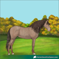 Horse Color:Classic Champagne 