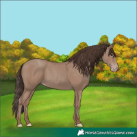 Horse Color:Classic Champagne