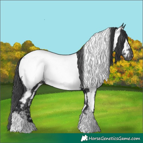 Horse Color:Black Tobiano Near Fewspot 