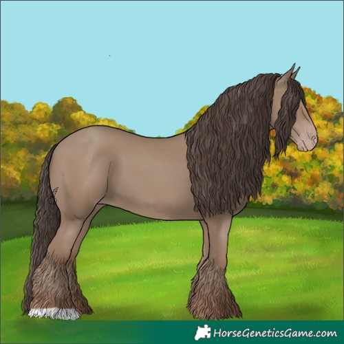 Horse Color:Classic Champagne 
