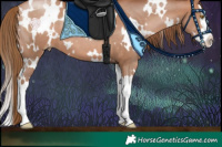 Horse Color:White Spotted Brown Pearl Splash 